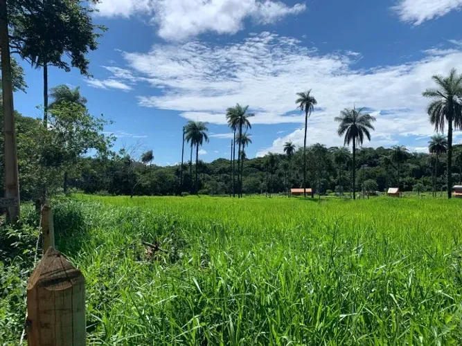 Terreno rural de 5.000 m² cercado, fácil acesso, faz parte da Estrada Real, rio nos fundos