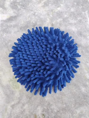 Refil Esfregão para Limpeza