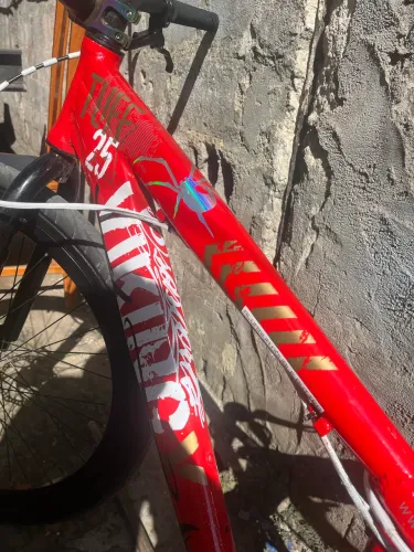 Quadro VikingX personalizada cor vermelha