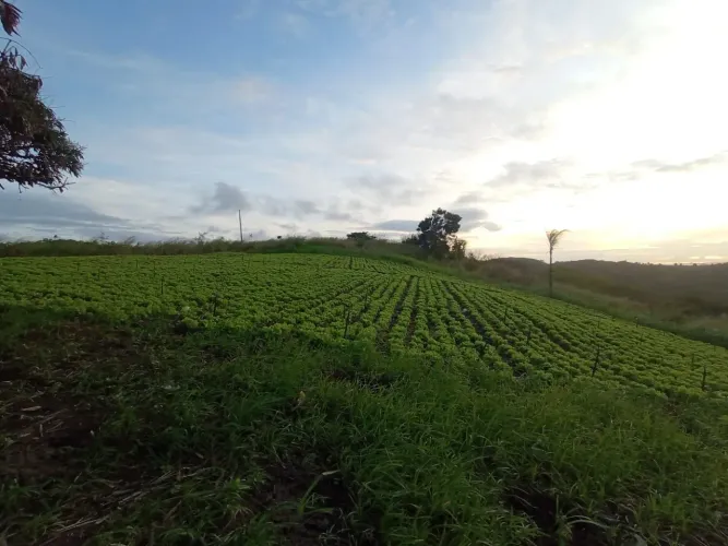 Terreno em sítio cueras 