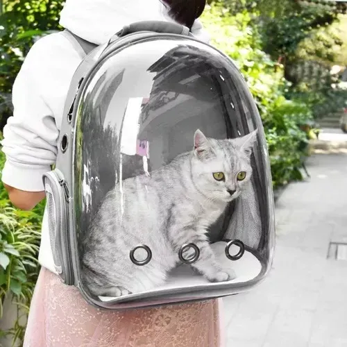 Mochila pet panorâmica (entregamos)