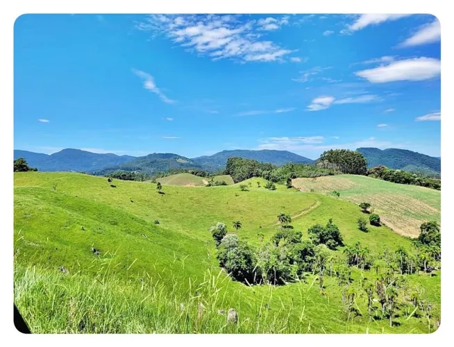 Terreno Rural à venda, 236000 m² em São Bonifácio/SC