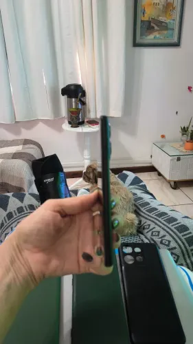 Celular 