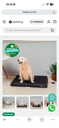 Banheiro inteligente para cachorro weasy