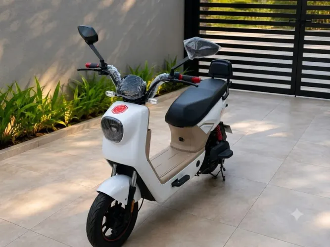 Moto eletrica foston x14 maxx NOVA 1000 watts 