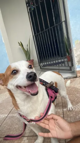 Doação