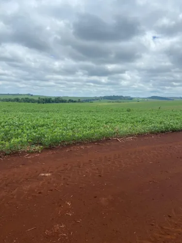 Vendo fazenda pego 70 % imovel 