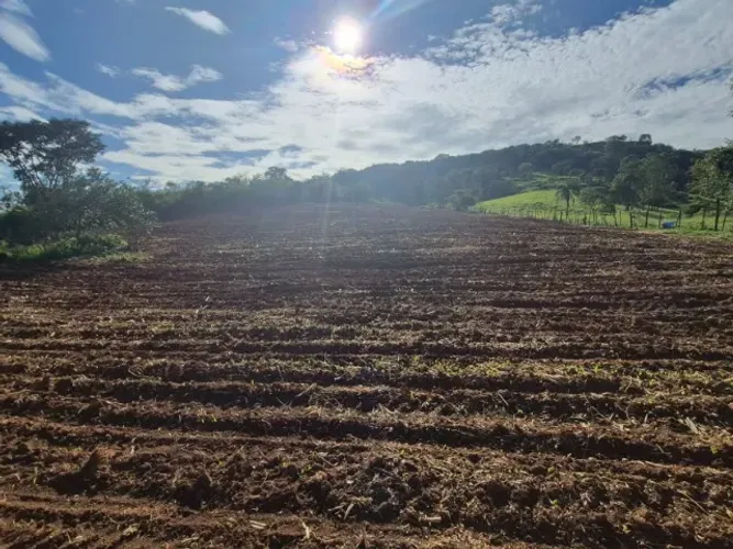 Quem Conhece Terra Boa Sabe Reconhecer uma Oportunidade Dessas