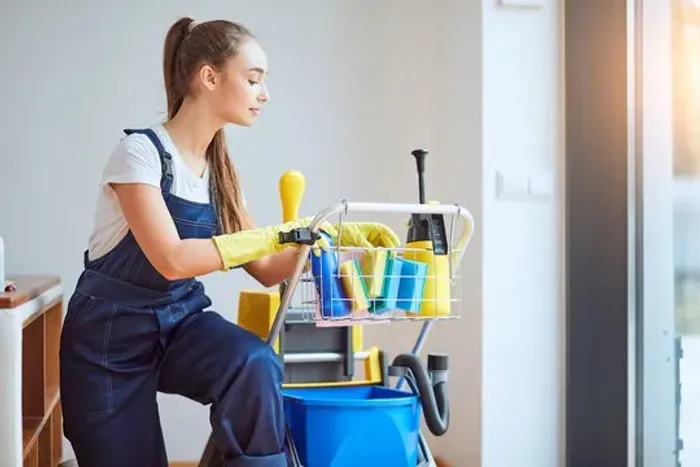Serviços domesticos 