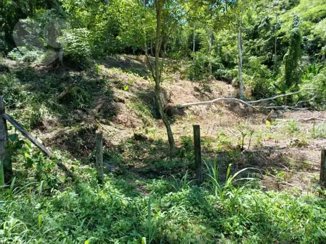 Excelentes terrenos no Engenho do Mato