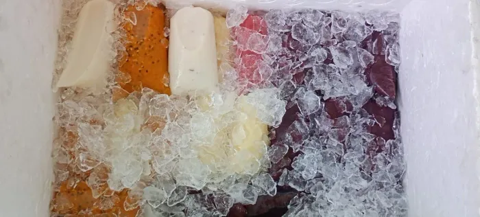 Polpas e Açaí
