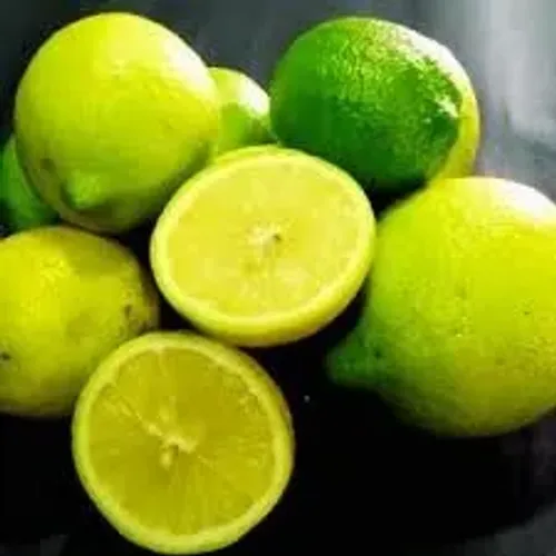  Limão doce - vendo mudas enxertadas