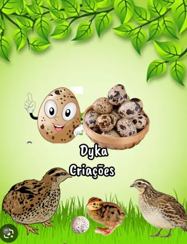 Ovos codornises