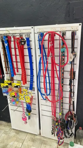 Itens Petshop