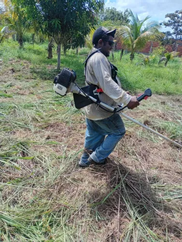 Limpeza de terreno e chácara