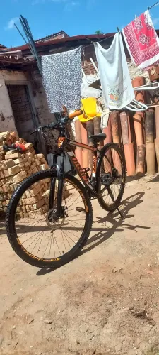 Bike 29
