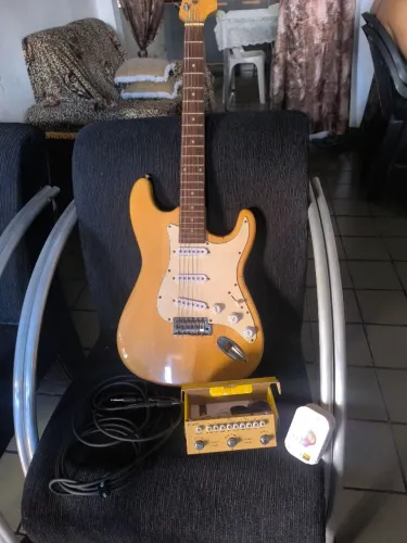 Guitarra Stratocaster finch 