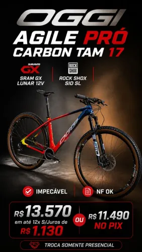 BICICLETA CARBONO OGGI