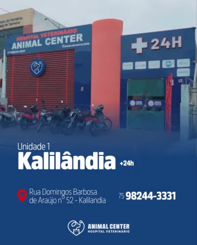 O hospital veterinário do seu pet 24 horas