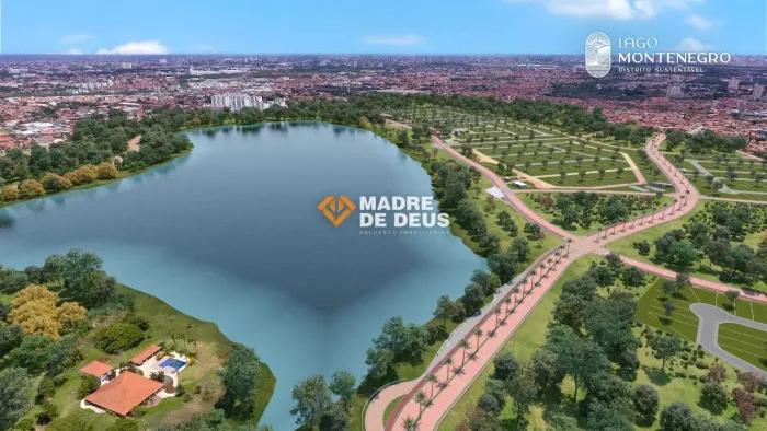 Repasse de 02 Lotes conjugados no Lago Montenegro Palmeira Real