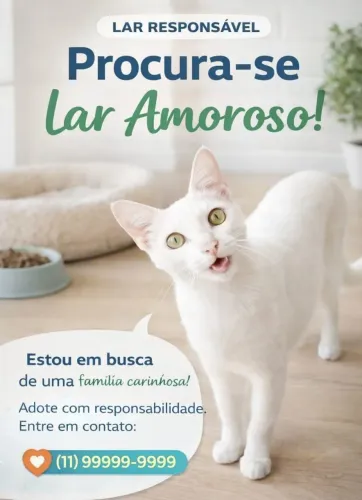 Gata castrada disponível 