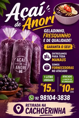 Açaí do Anori