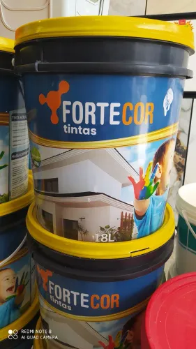 TINTA 18L FORTCOR BCO NEVE
