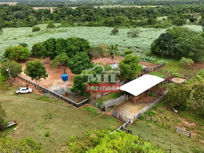 Fazenda de 50 alqueires (242 hectares) Dueré-TO/Gurupi-TO