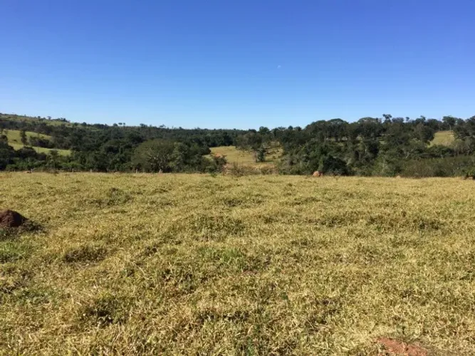 Fazenda 85 alqueires em Morrinhos-GO
