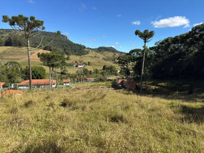 Terreno para Venda em Toledo, Rural