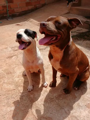 Doação