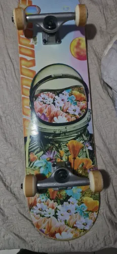 Skate da primitive shape MAPLE