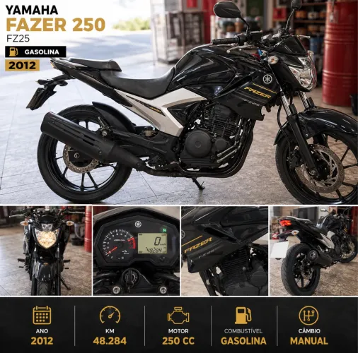 Yamaha Fazer 250 - 2012 | Gasolina