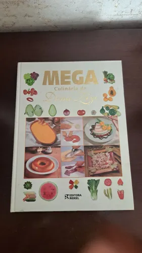 Livro Dona Zizi