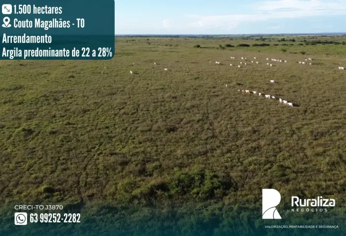 Arrendamento para agricultura no Vale do Araguaia. 1.500 hectares