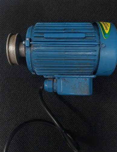 Motor weg w22 Plus trifásico