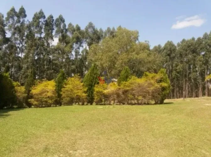 Fazenda Reflorestada de 111,6 Hectares em Arapoti PR Investimento e Lazer