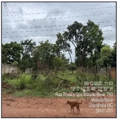 Oportunidade garantida Terreno no Morada Nova, Uberlandia - MG, Nº 00 | Venda Online