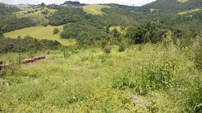 Oportunidade Única! Terreno à Venda 21,5 Hectares Senador Amaral MG