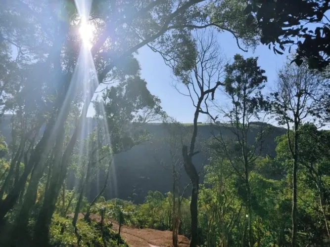 Área com 20.000 m² em Frente ao Cânion de São Luiz do Purunã -Balsa Nova/PR