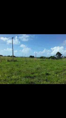 Terreno por um Valor Imperdível 