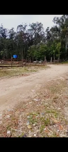 Hotelaria para cavalos