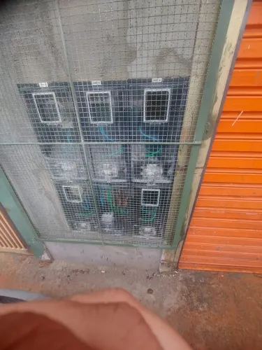 Eletricista/eletrotécnico rápido e de confiança