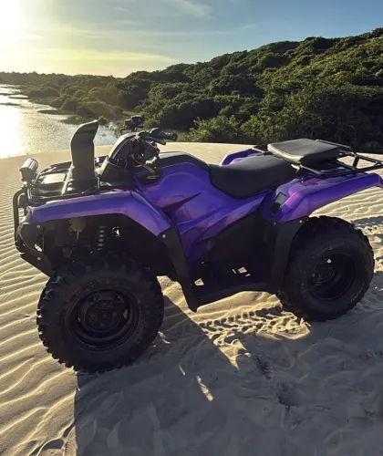 Fourtrax 2019 420x 4x4 + Carrocinha