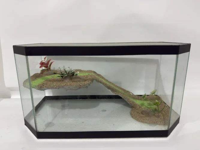 Terrário sextavado vidro com tampa plataforma decorada