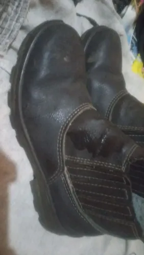 Bota