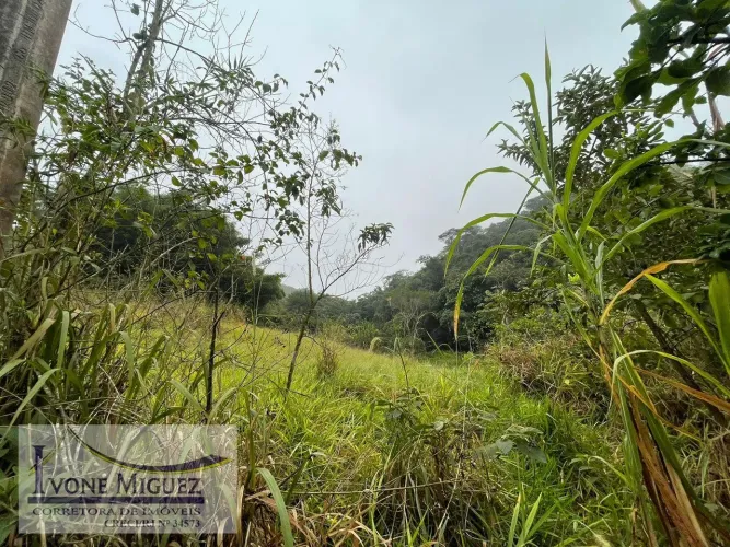 Terreno em Cinco Lagos - Mendes