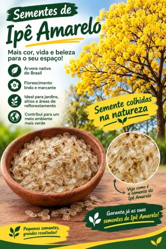 Sementes de Ipê Amarelo do Cerrado 