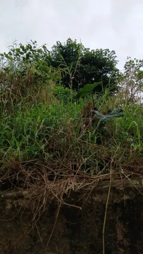 Terreno com 17.000 m² à venda em Jardim Madre Ângela Poá/SP