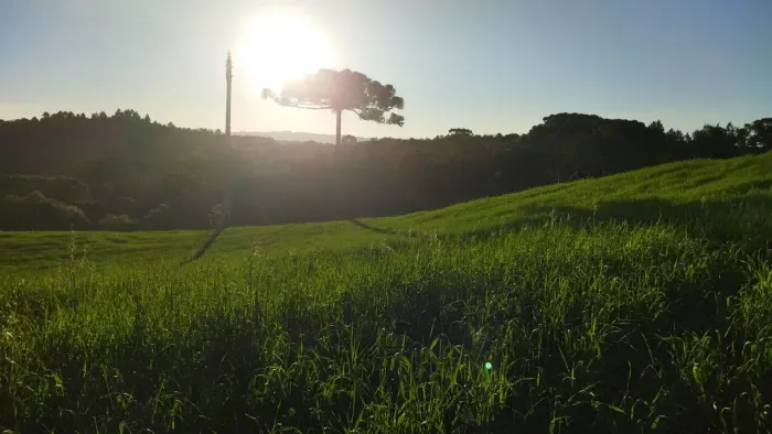 Chácara 20.850m² Bugre - Balsa Nova -lavoura